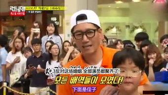 娱乐吃瓜全集免费观看,全集免费观看，揭秘娱乐圈幕后真相